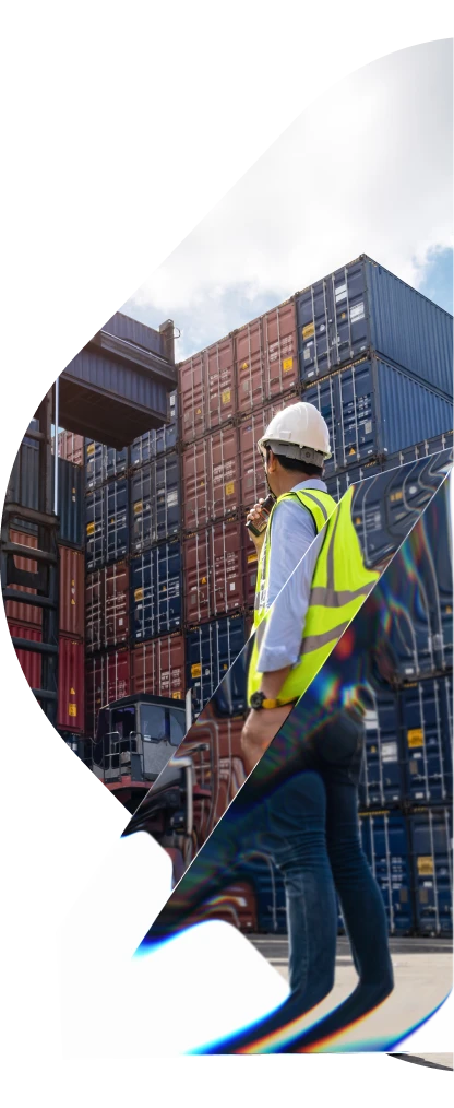 Shipping & Logistics Leader Unlocks 25% Efficiency Gains